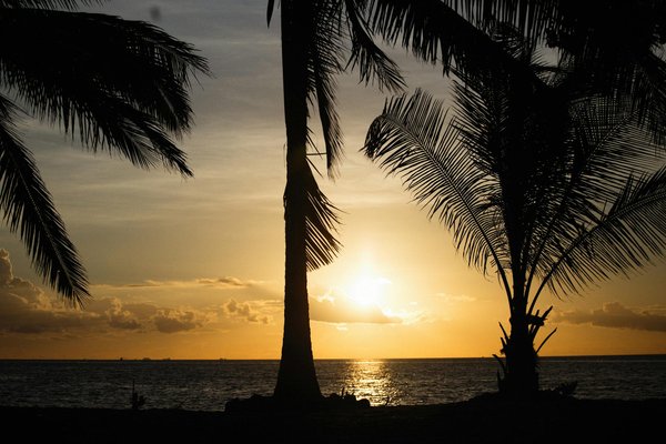 Comment planifier une croisière sur le fleuve Amazone, Pérou : itinéraires et conseils de navigation ?