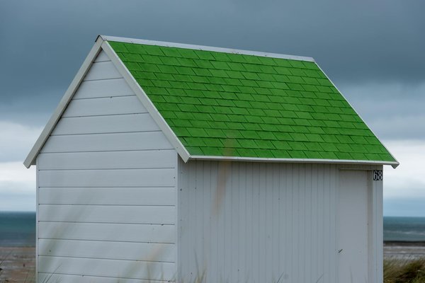 Peut-on s'inscrire à une croisière qui offre des séminaires sur la navigation traditionnelle en Polynésie?