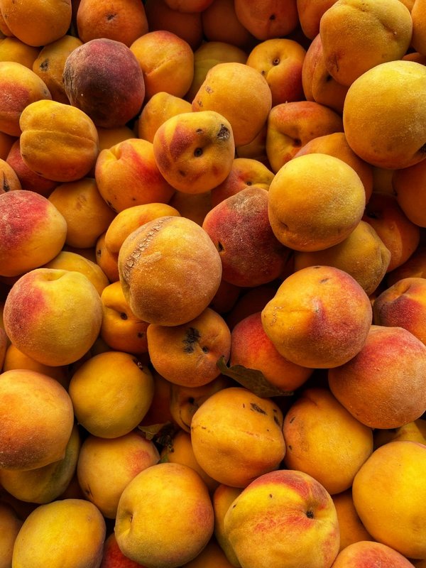 Comment organiser une expédition de pêche en mer au Portugal?